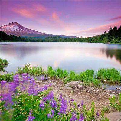 万博体育app下载官网